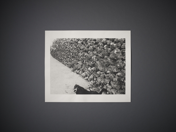 Shomei Tomatsu | amanasalto