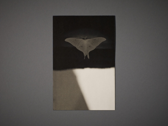 林伯謙 山本昌男 オリジナルプリント 写真 edition 15/25 Masao Yamamoto | amanasalto